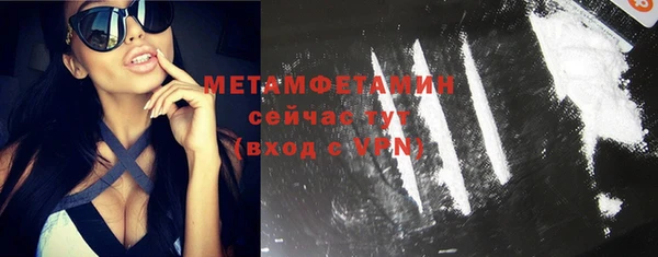 индика Волосово