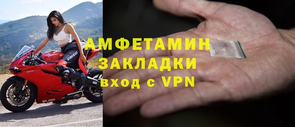 индика Волосово