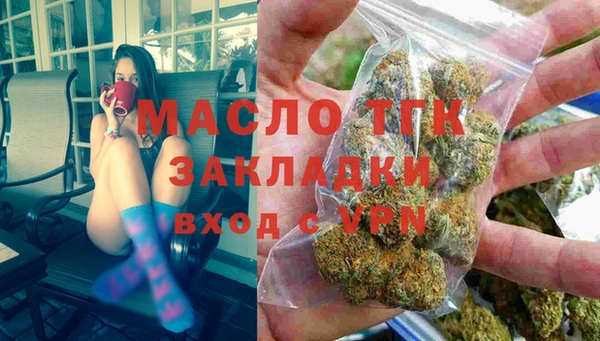 индика Волосово