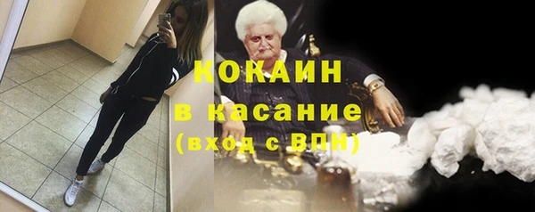 индика Волосово