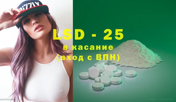индика Волосово