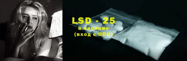ПСИЛОЦИБИНОВЫЕ ГРИБЫ Верхний Тагил
