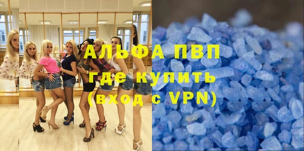 индика Волосово