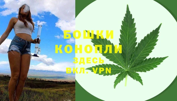 индика Волосово