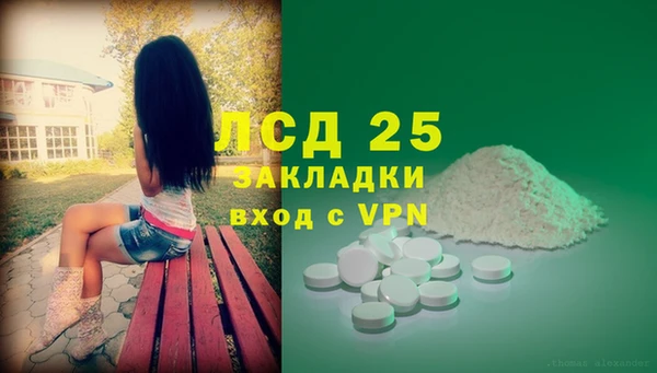 индика Волосово